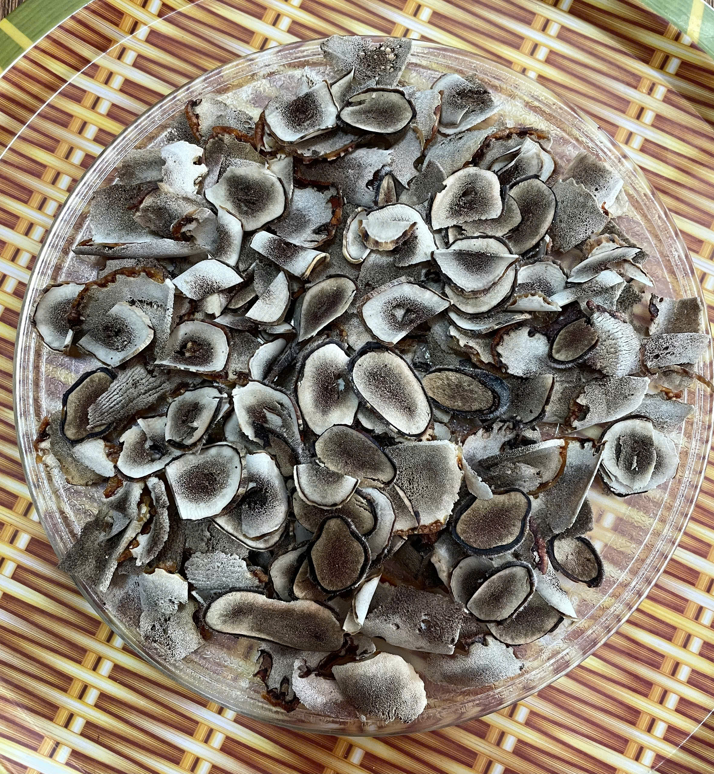 NHUNG HƯƠU KHÔ THÁI LÁT HƯƠNG SƠN