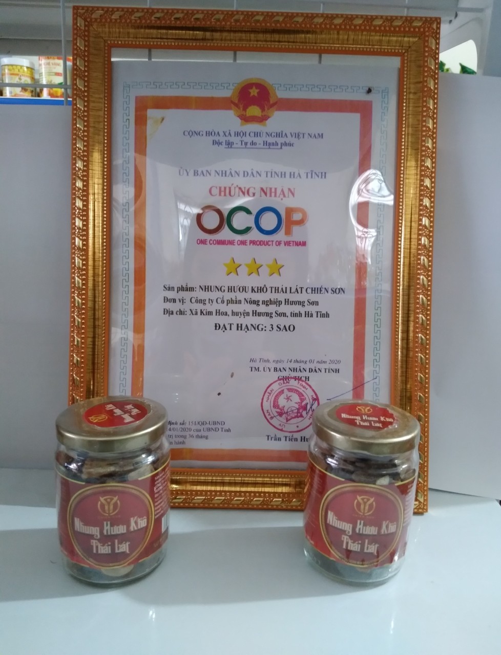 Nhung Hươu Thái lát Chiến Sơn 